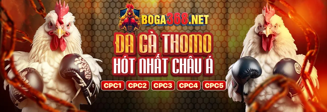 Mẹo chơi bắn cá hiệu quả tại Bsport