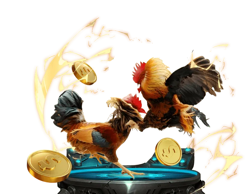 Kèo Meron trong đá gà trực tuyến